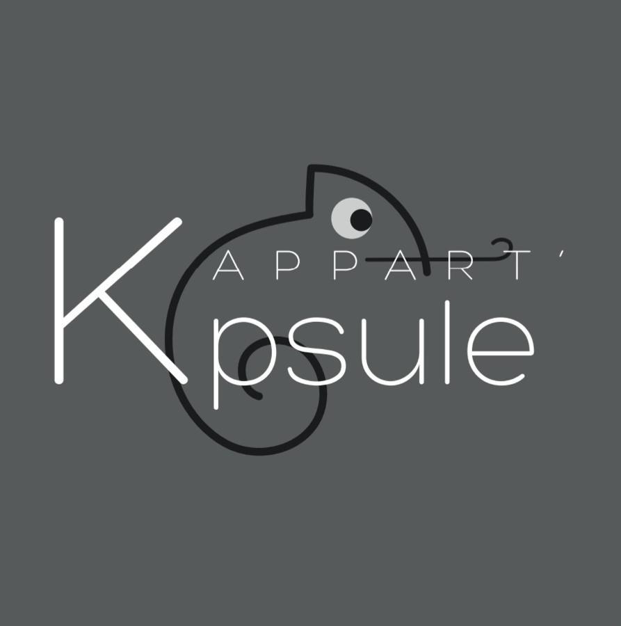 L'Appart K-Psule - Design, Tout Confort, Centre-Ville, 3 Pers Le Mans Buitenkant foto